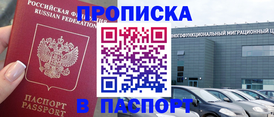 прописка для школы в Тольятти